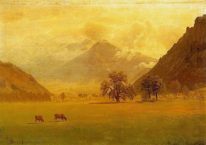 Albert Bierstadt Rhone Valley china oil painting image